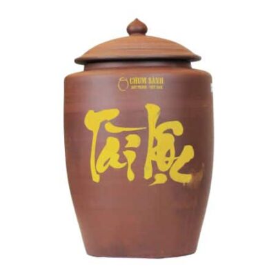 Hũ đựng gạo 25l